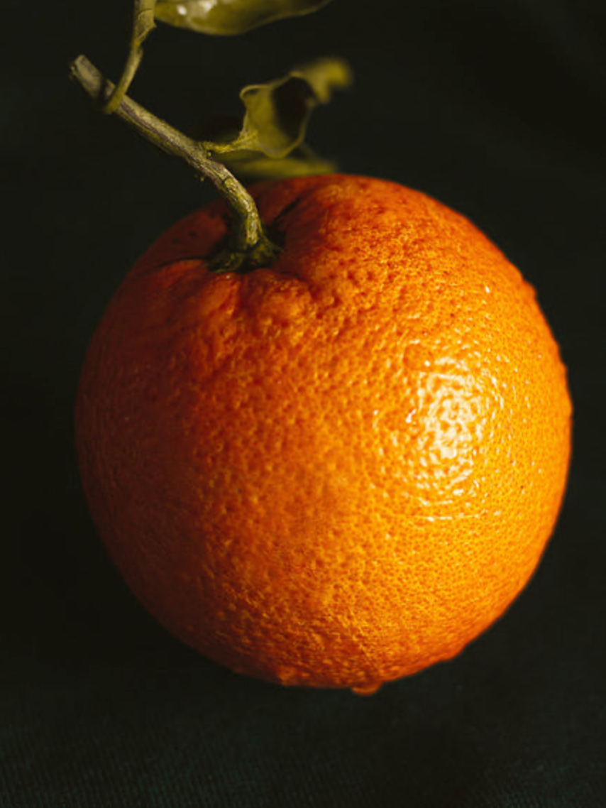 Die wichtigste Zitrusfrucht der Welt: Die Orange