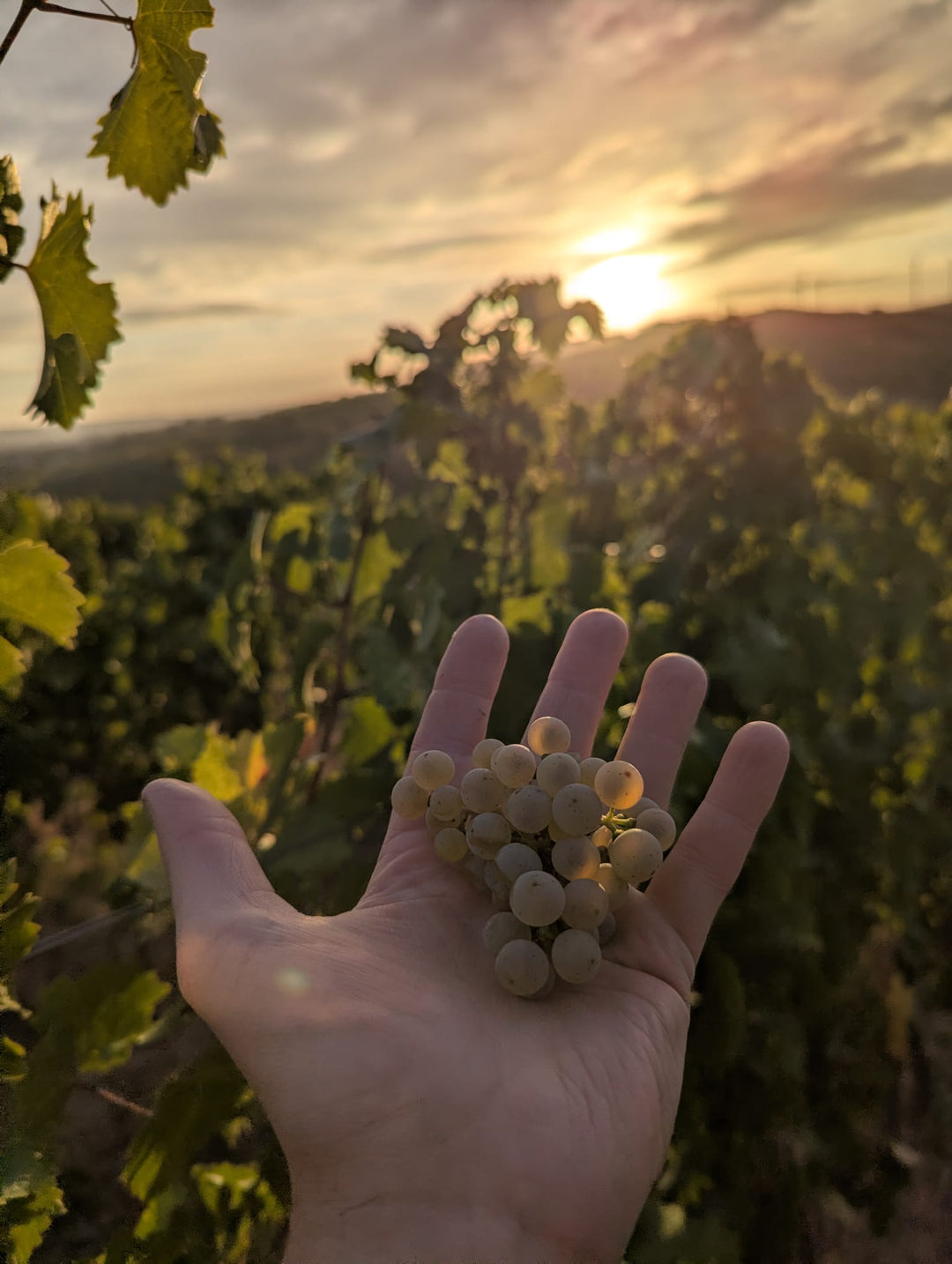 Aperitif im Herbst und Winter: Drinks für kühle Abende
